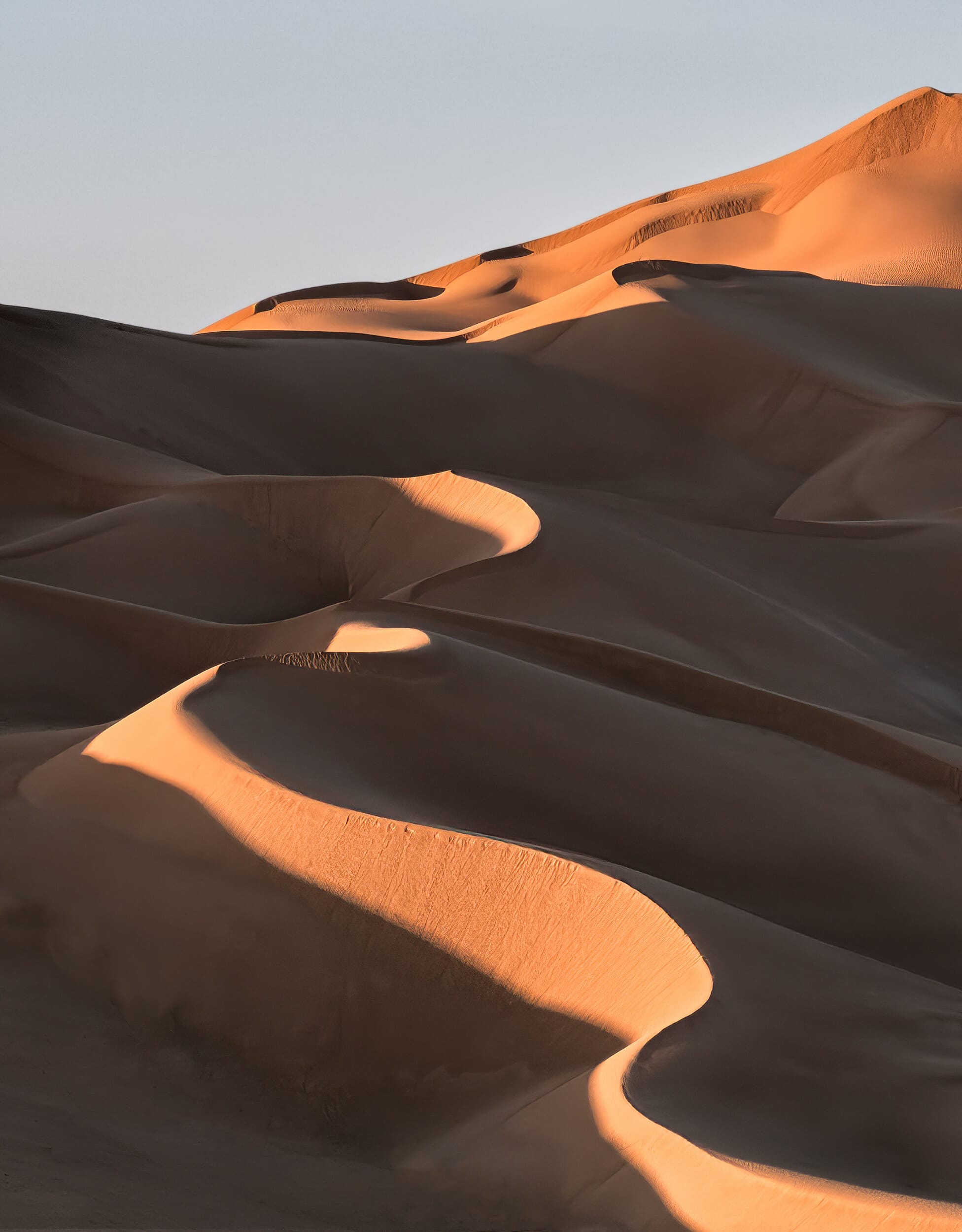 Sand dune Oman