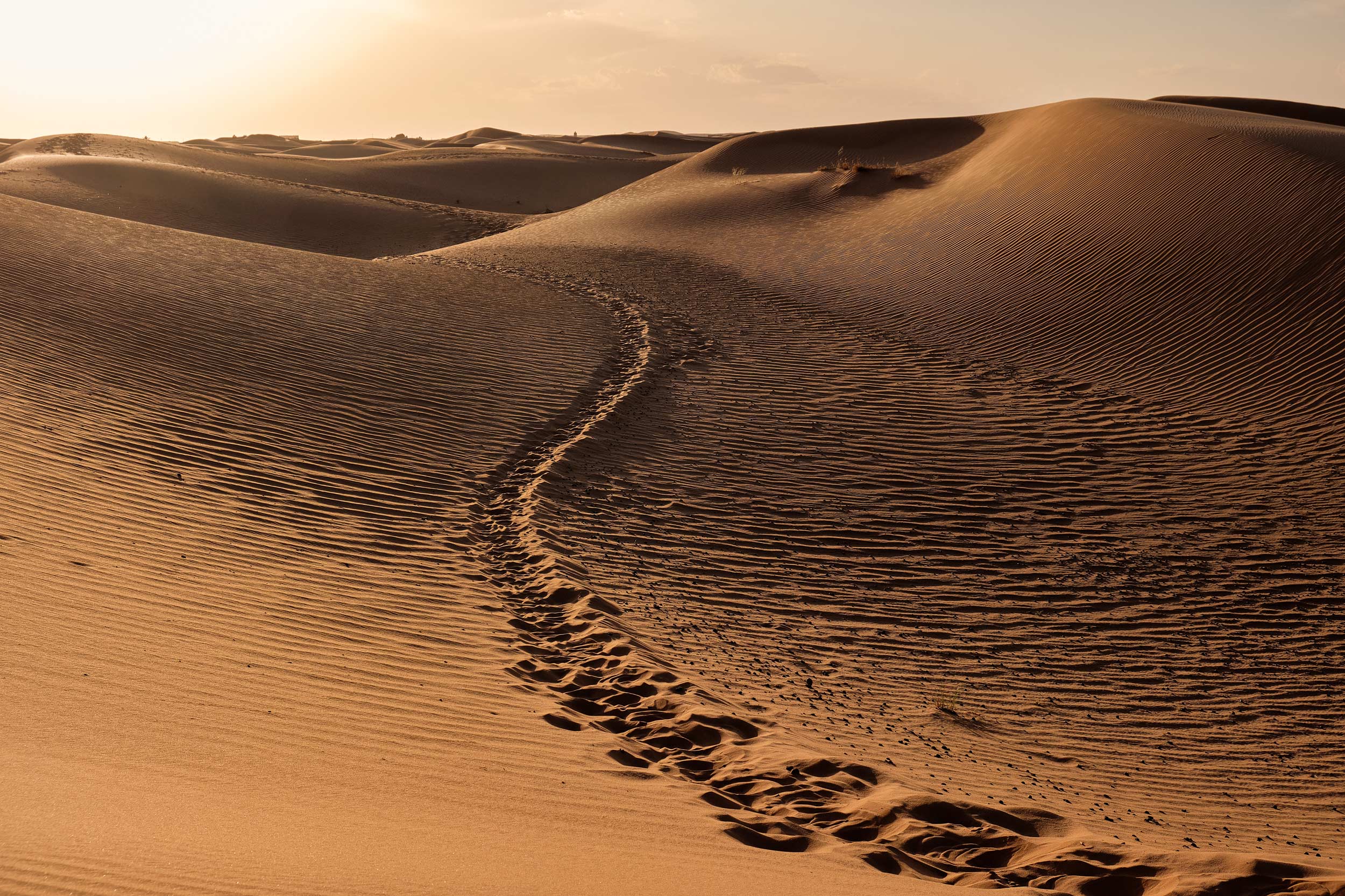 Percorso tra le dune nel deserto