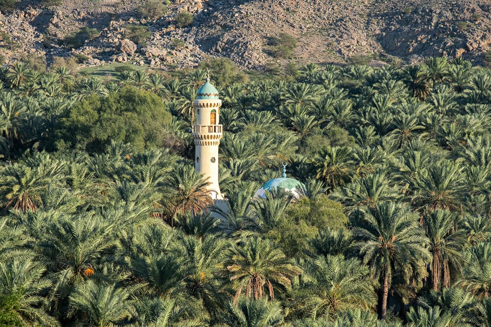 Moschea tra le palme